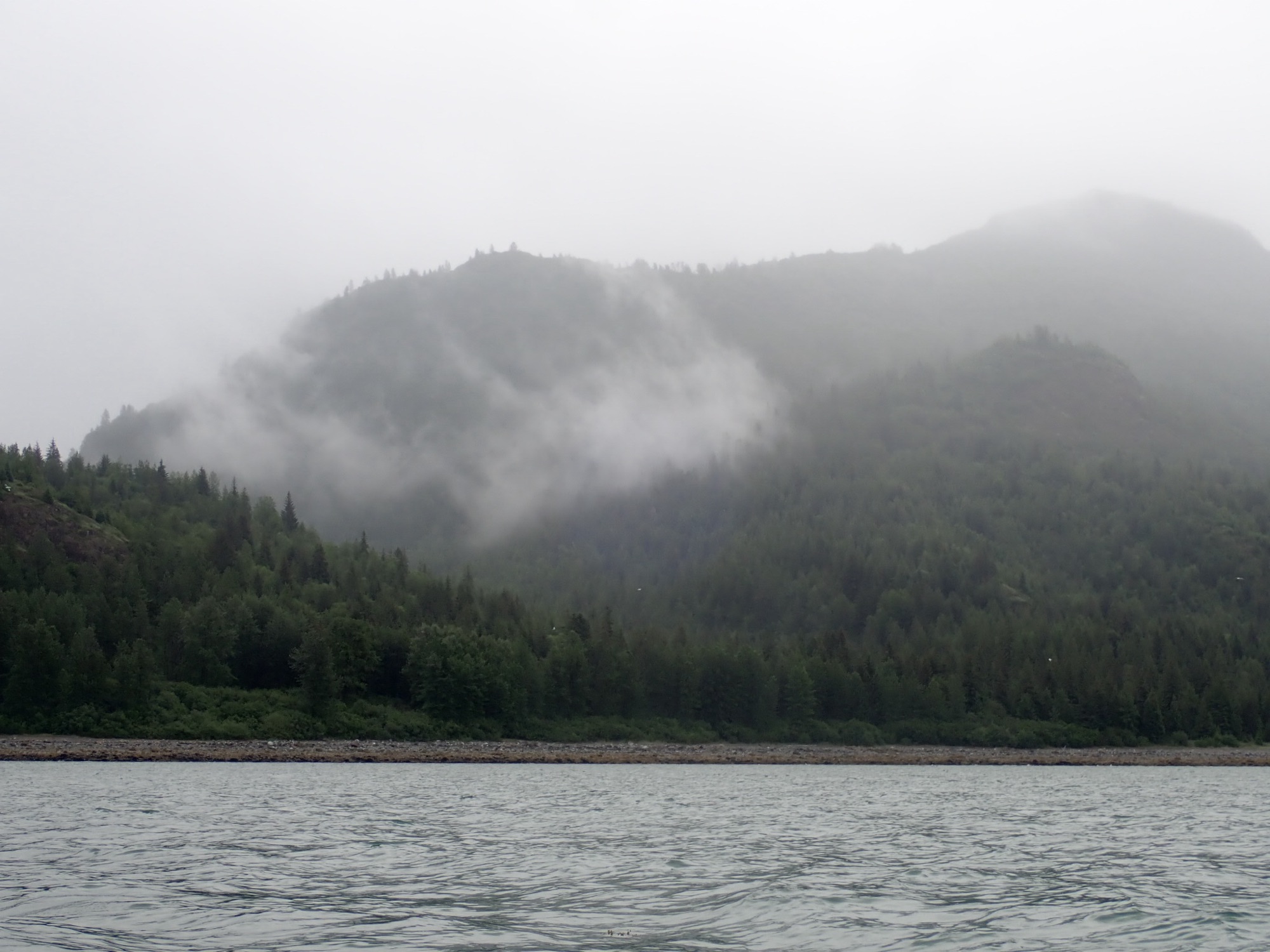 Wednesday 23rd of July: Nature went back to rainforest mode